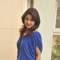 Payal Ghosh hot in Mini Blue dress - Photos | Picture 102711